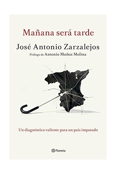 Mañana será tarde, Un diagnóstico valiente para un país imputado